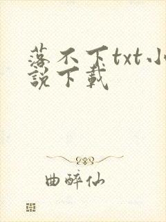 落不下txt小说下载