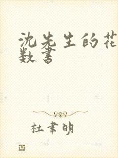 沈先生的花式调数书