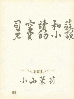 司空靖和苏月汐免费的小说笔趣阁