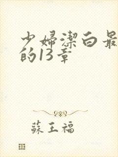 少妇洁白最刺激的13章