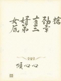 女婿有劲枪枪到底第三章