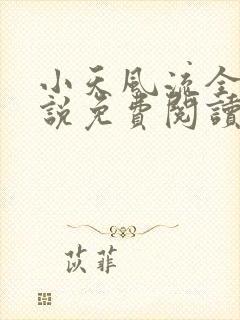 小天风流全集小说免费阅读