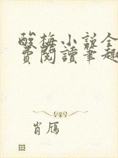 酸梅小说全文免费阅读笔趣阁