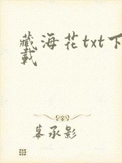 藏海花txt下载