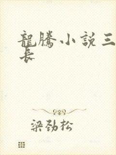 龙腾小说三宝局长