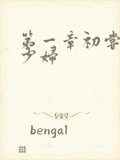 第一章初尝极品少妇