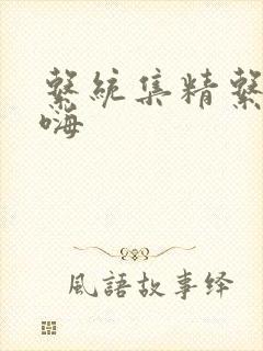 系统集精系统高嗨