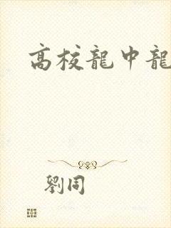 高校龙中龙