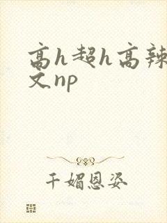 高h超h高辣h文np