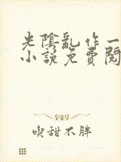 光阴乱作一团的小说免费阅读