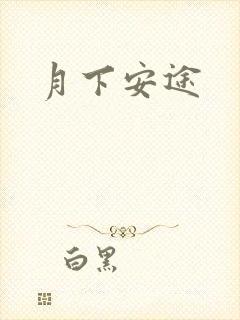 月下安途