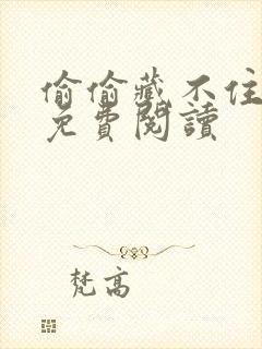 偷偷藏不住小说免费阅读