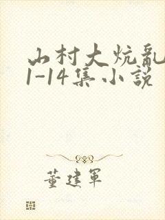 山村大炕乱肉续1-14集小说