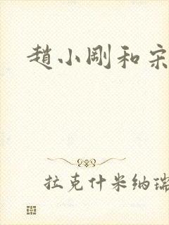 赵小刚和宋雨晴