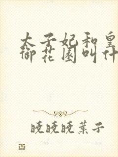 太子妃和皇帝在御花园叫什么小说