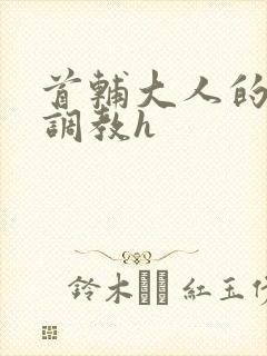 首辅大人的花式调教h