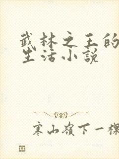 武林之王的退隐生活小说