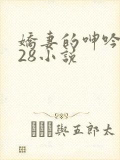 娇妻的呻吟1—28小说