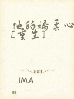 他的娇柔心尖宠[重生]