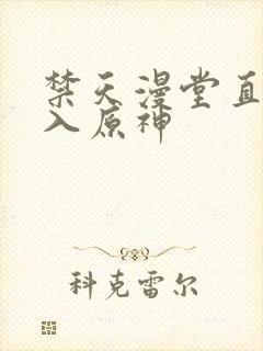 禁天漫堂直接进入原神