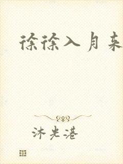 徐徐入月来