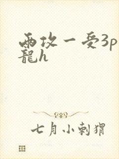 两攻一受3p双龙h