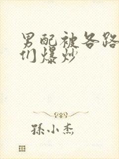 男配被各路大佬们爆炒