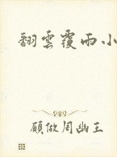 翻云覆雨小说