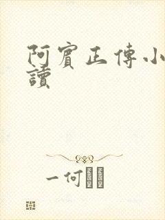 阿宾正传小说在读