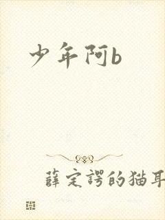 少年阿b