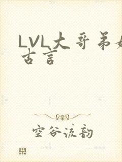 LVL大哥弟媳古言