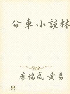 公车小说林蔓蔓