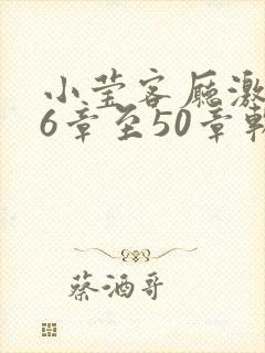 小莹客厅激情46章至50章软件介绍