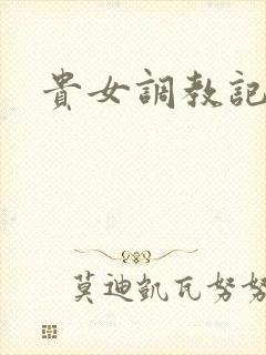 贵女调教记