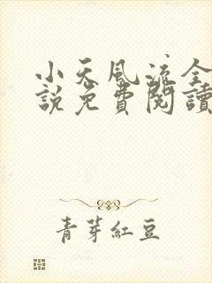 小天风流全集小说免费阅读