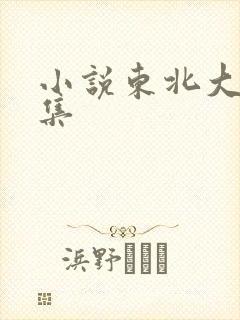 小说东北大炕全集