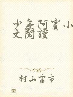 少年阿宾小说全文阅读