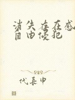 消失存在感消失自由侵犯