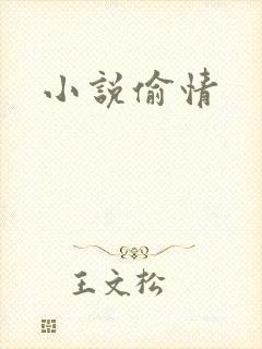 小说偷情