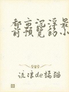 都市沉浮最快超前预览的小说3030