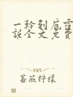 一干到底霍坤小说全文免费阅读