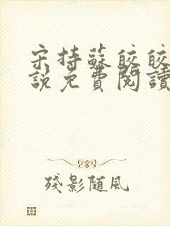 宋持苏皎皎的小说免费阅读