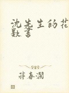 沈先生的花式调数书