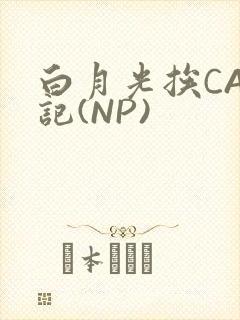 白月光挨CAO记(NP)