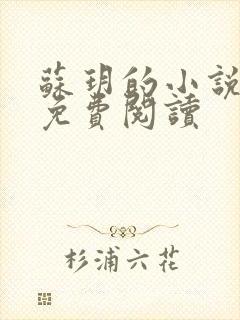 苏玥的小说全文免费阅读