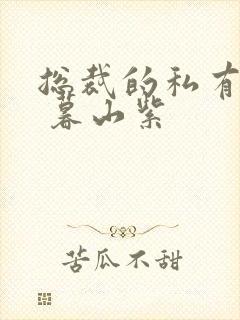 总裁的私有宝贝 暮山紫