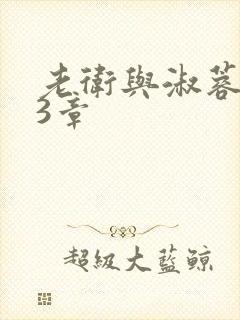 老卫与淑蓉第13章