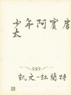 少年阿宾房东太太