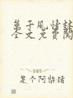 万千风情林小涛全文免费阅读