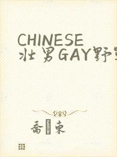 CHINESE壮男GAY野战强迫TUBE